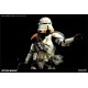 Sideshow Star Wars Utapau Airborne Trooper Sixth Scale Figure 30cm